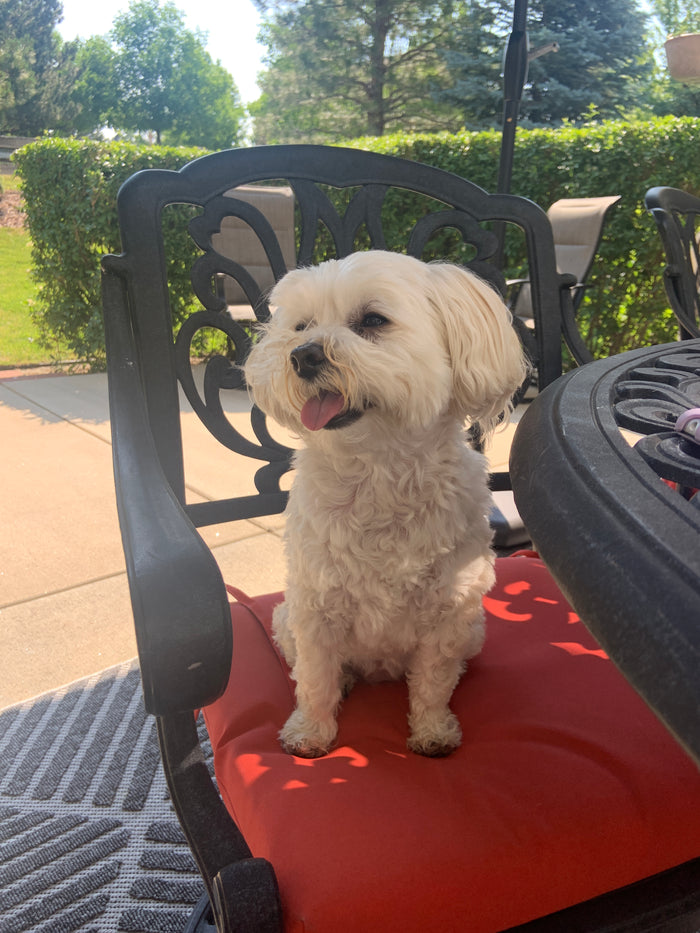 Winnie